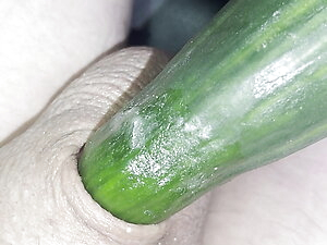 Shaved  inverted cock meets cucumber